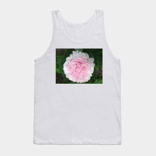 Pale pink Peony photograph Tank Top